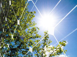 Hvor mange solcellepaneler kan dekke husholdningens strømforbruk?