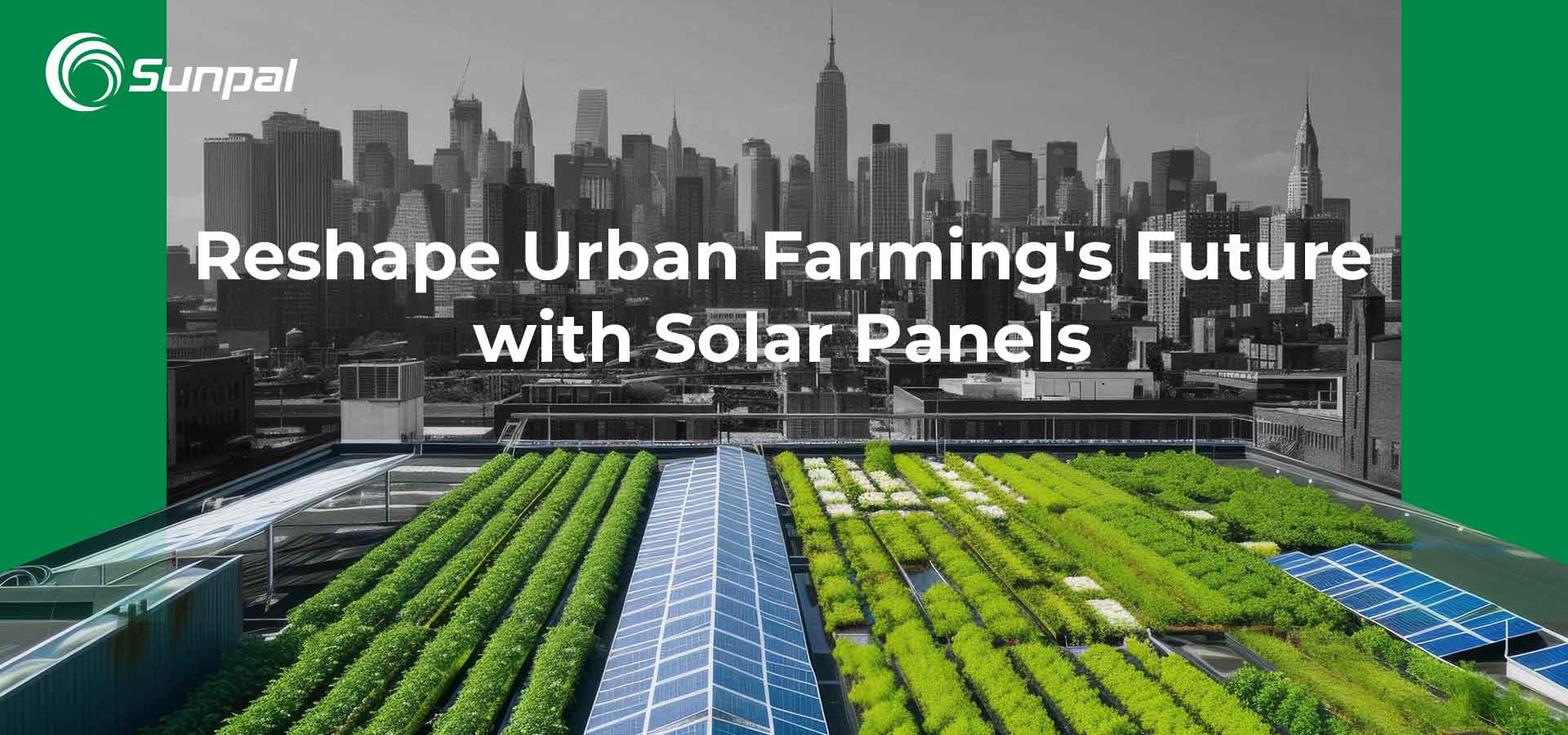 Solar Rooftops: Reshaping Urban Farming's Future